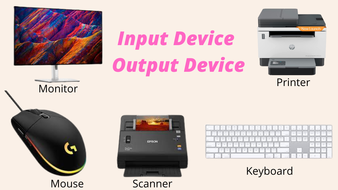 Input & Output device